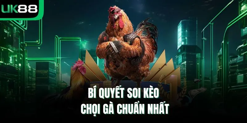 Bí quyết soi kèo chọi gà chuẩn nhất