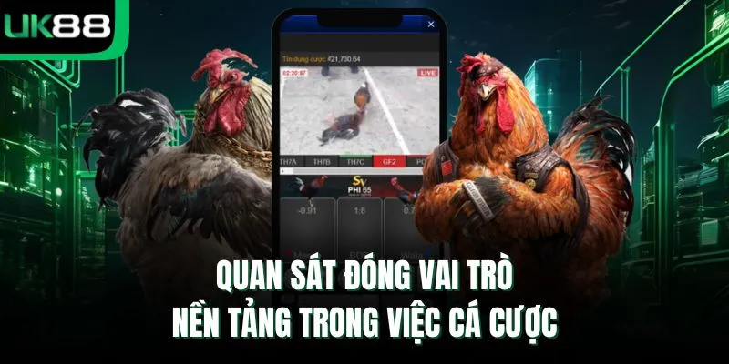 Quan sát đóng vai trò nền tảng trong việc cá cược